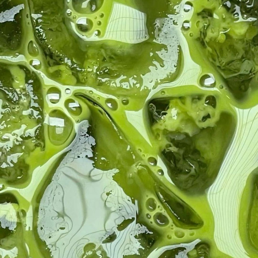 Matcha et digestion : pourquoi il calme votre ventre