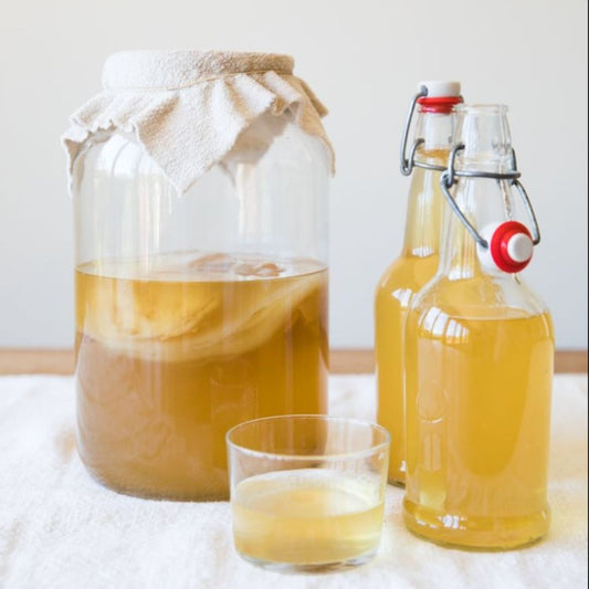 Quelles sont les étapes pour réussir son kombucha ?