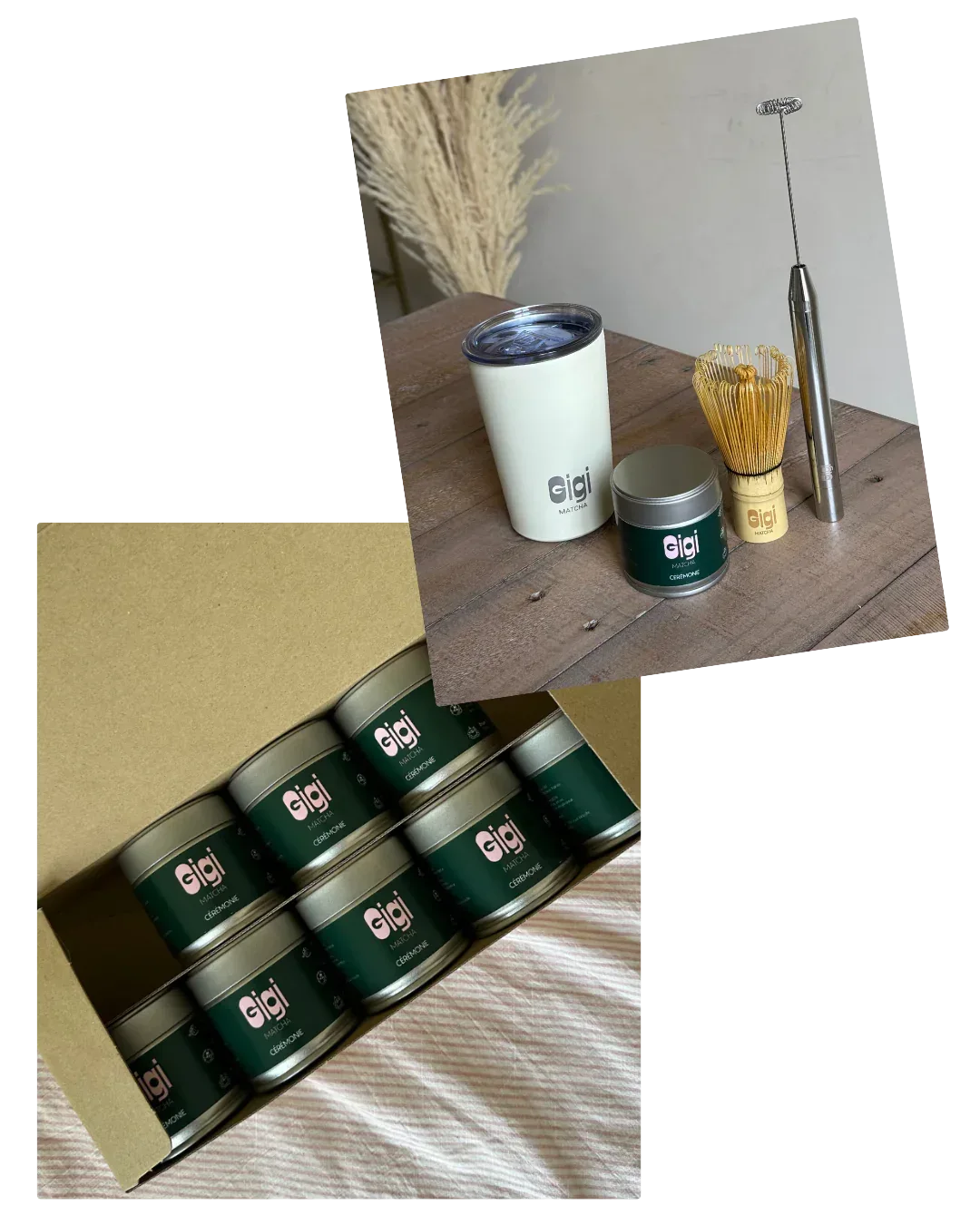 Gigi Matcha, première récolte